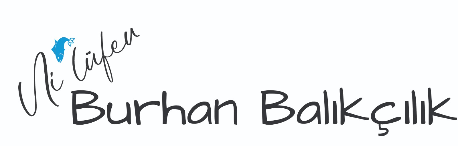 Nilüfer Burhan Balıkçılık